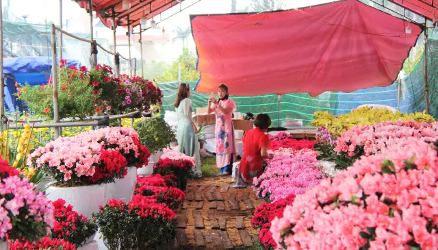 Chợ hoa xuân đà nẵng