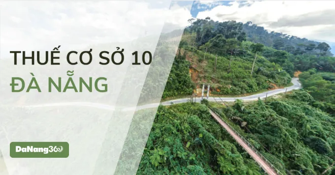 Trụ sở, Địa bàn quản lý của Thuế cơ sở 10 TP. Đà Nẵng 2025