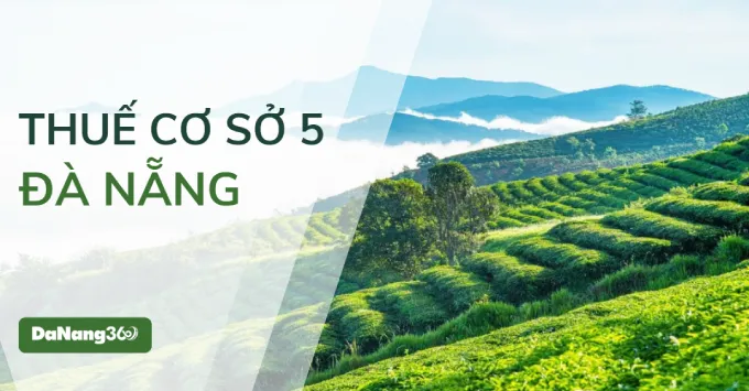 Trụ sở, Địa bàn quản lý của Thuế cơ sở 5 TP. Đà Nẵng 2025